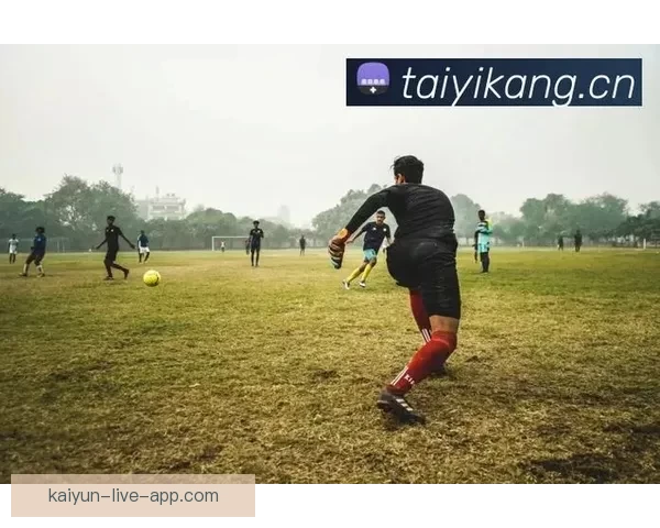 开云体育入口最新访问指南与安全稳定体验全面解析与使用技巧